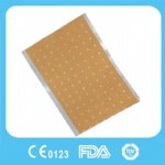 Capsicum Plaster
